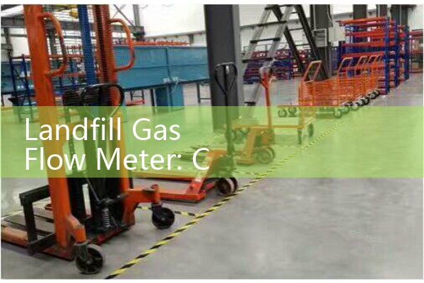 Landfill Gas Flow Meter: Corrosive Biogas Thermal Mass Sourcing Systems